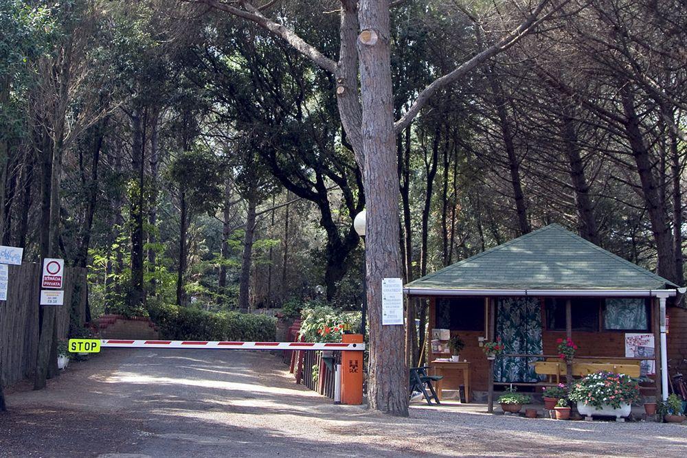 Villaggio Club Cecina Marina di Cecina Extérieur photo